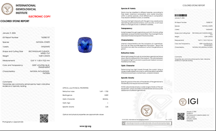 10,89 ct Tanzanite "Electric Monarch" - Deep Violetish Blue