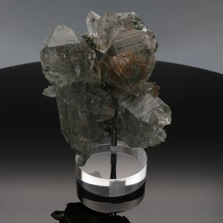 AMBER FOREST | Quartz with rutile and chlorite from the Himalayas | 257 g